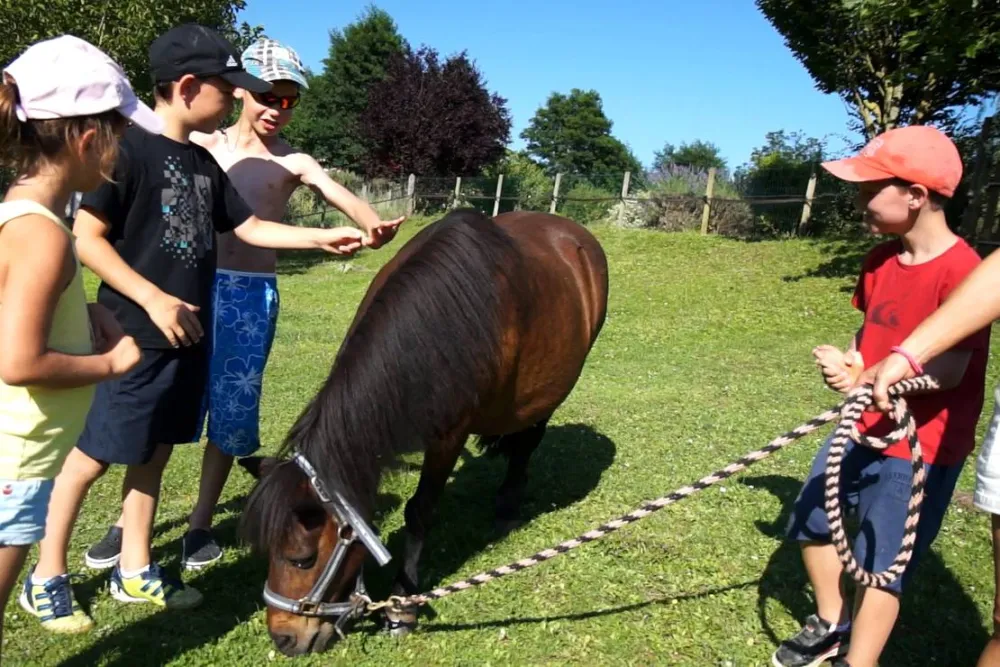 Le Hameau des Genêts