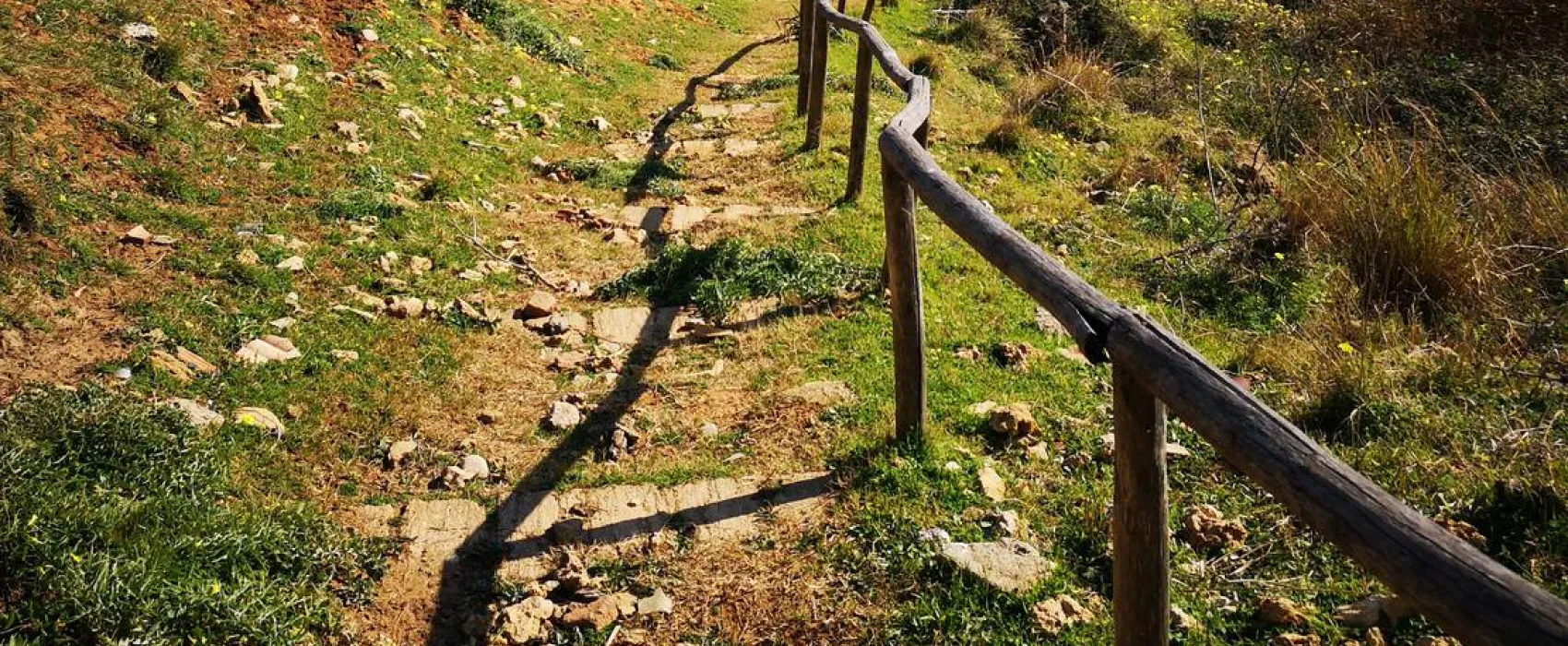 Camping Fico d'India