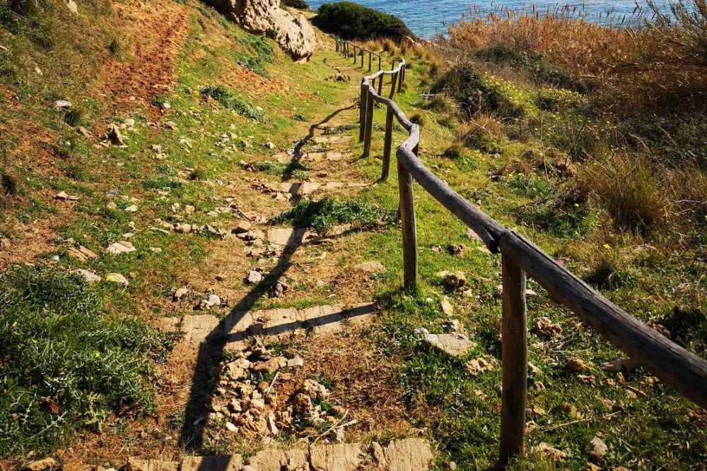 Camping Fico d'India