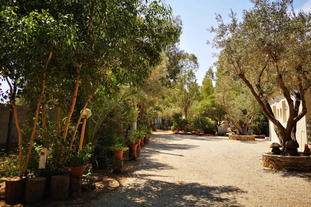 Camping Fico d'India