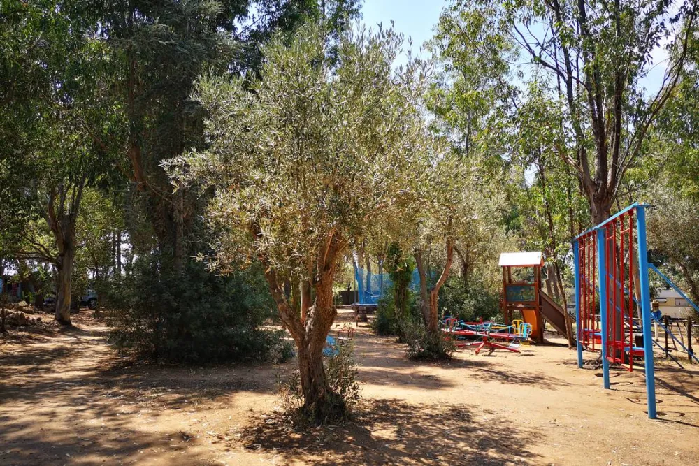 Camping Fico d'India