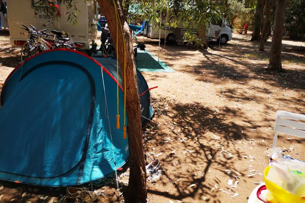 Camping Fico d'India