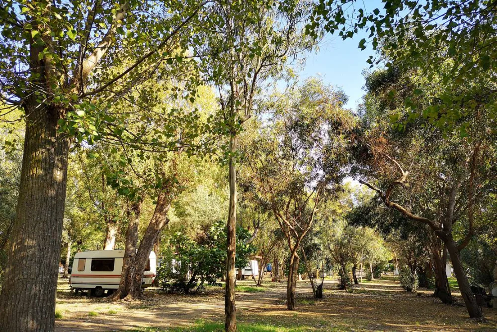 Camping Fico d'India