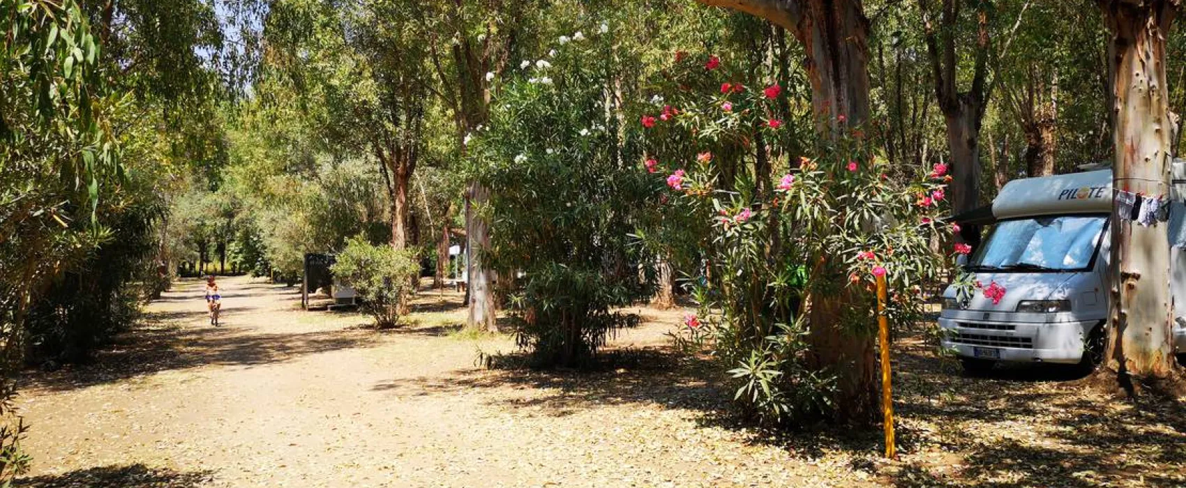 Camping Fico d'India