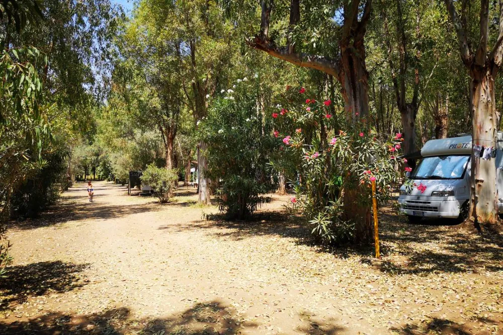 Camping Fico d'India