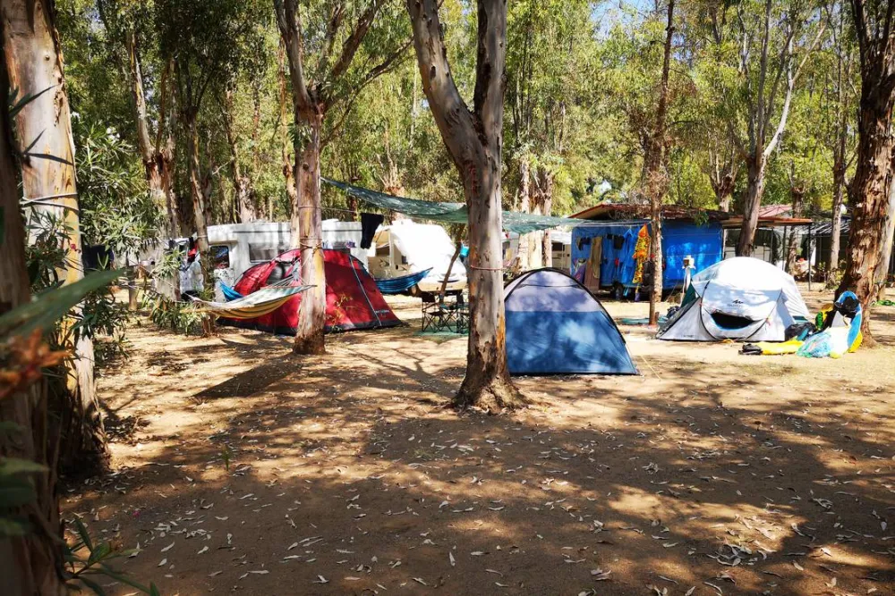 Camping Fico d'India