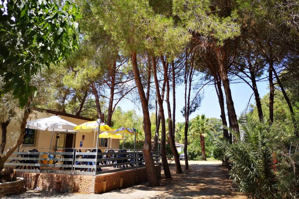 Camping Fico d'India