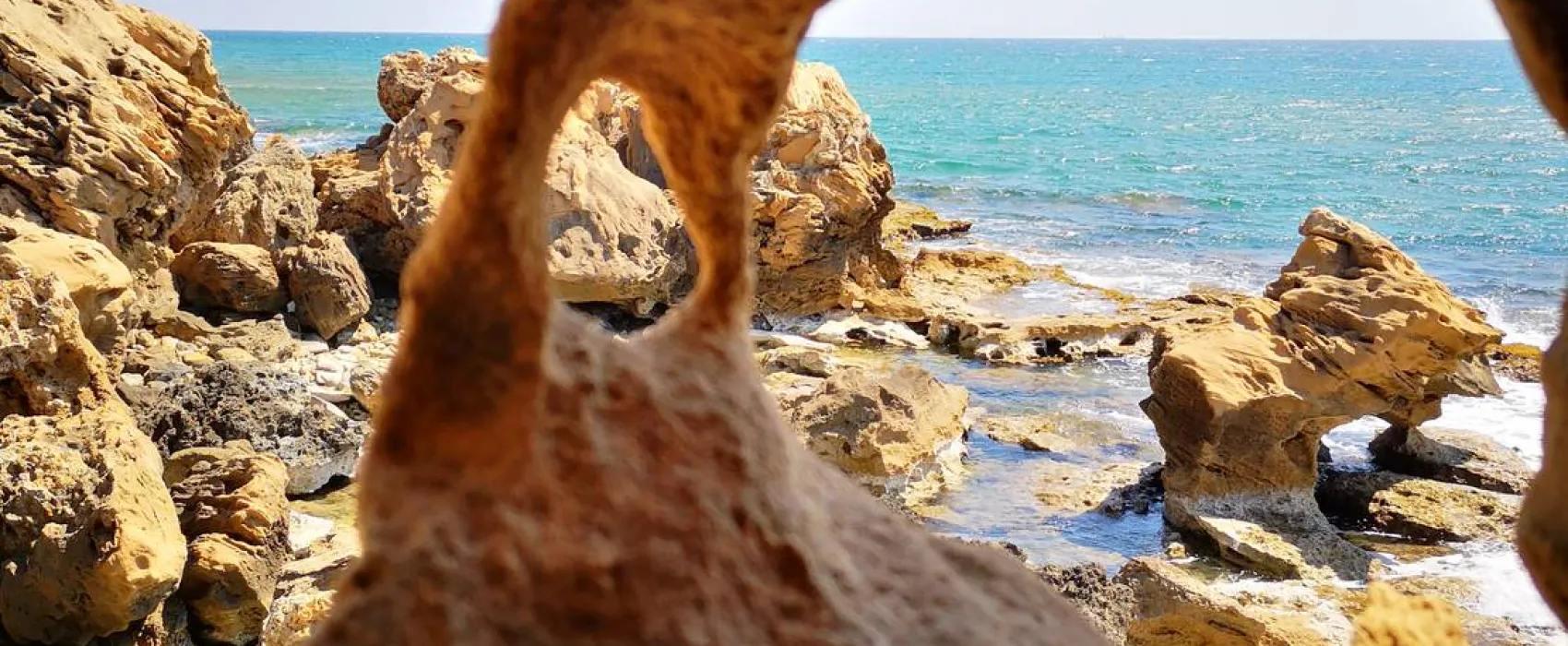 Camping Fico d'India