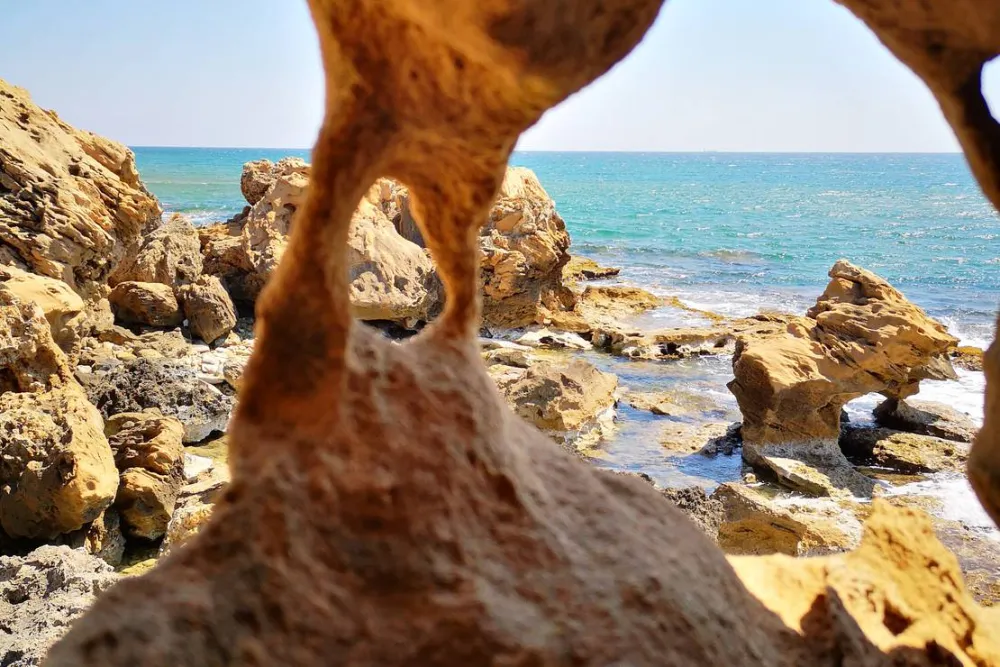 Camping Fico d'India