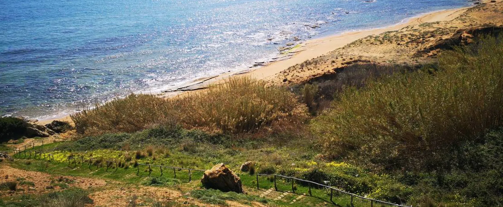 Camping Fico d'India