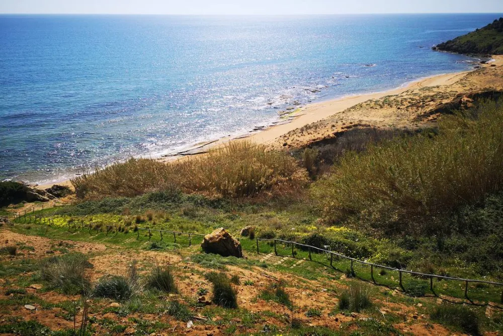 Camping Fico d'India