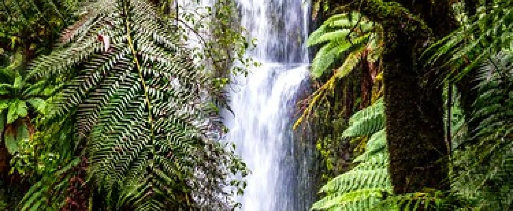 Beauchamp Falls Reserve Campground