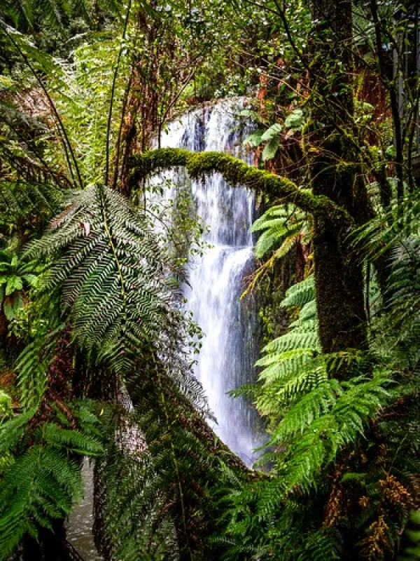 Beauchamp Falls Reserve Campground