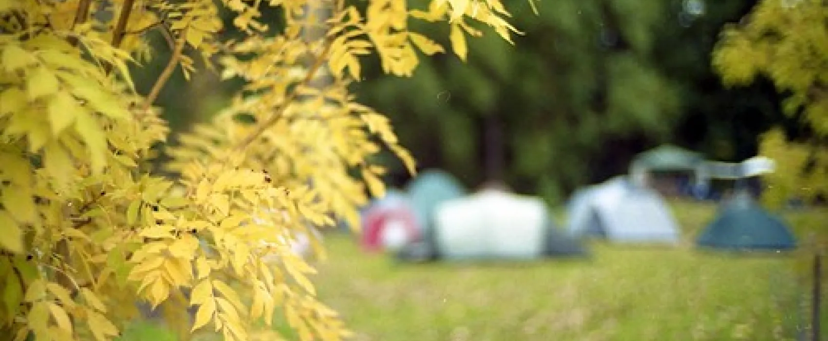 Buchan Caves Campground