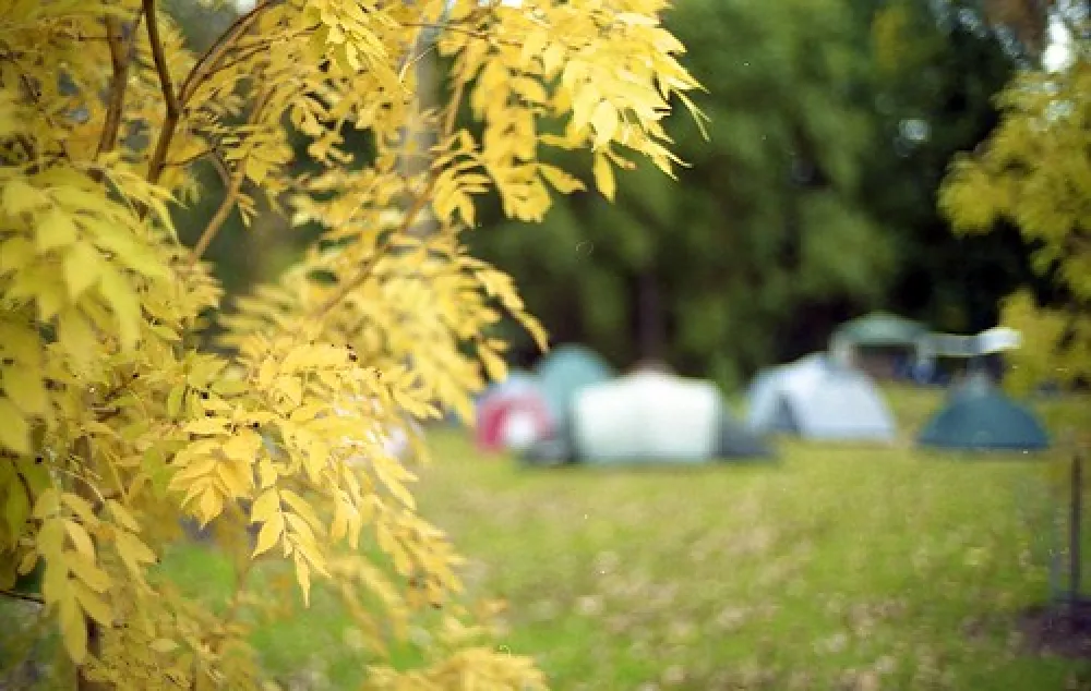Buchan Caves Campground