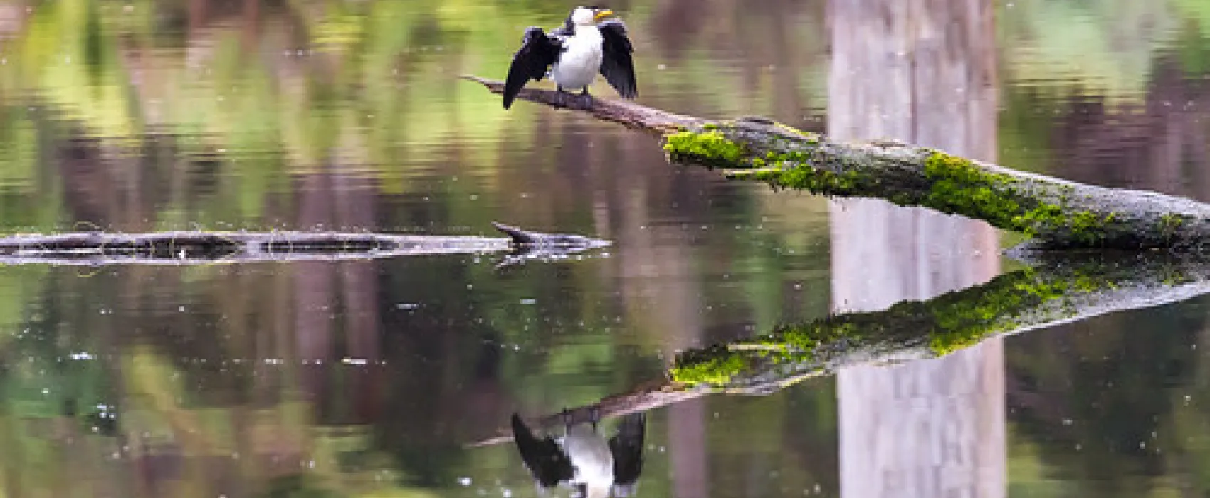 Lake Elizabeth Campground