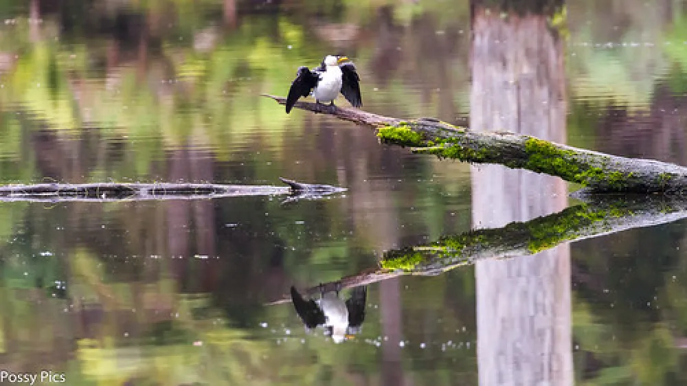 Lake Elizabeth Campground