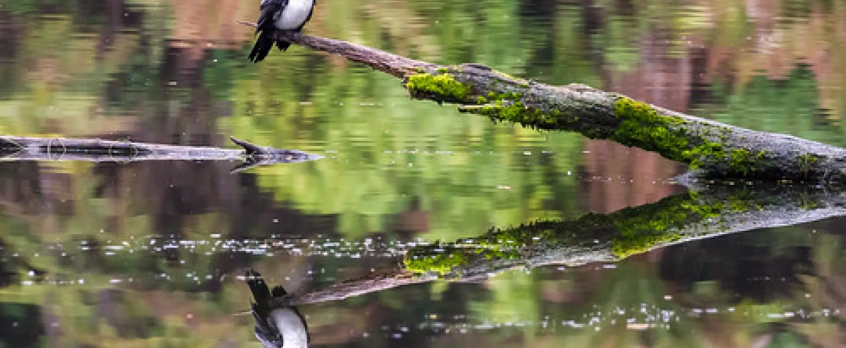 Lake Elizabeth Campground