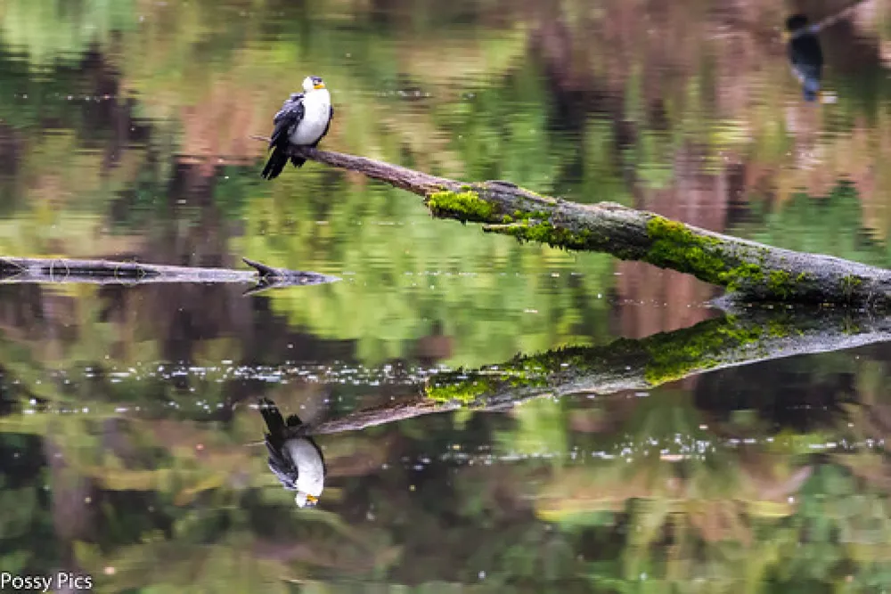 Lake Elizabeth Campground