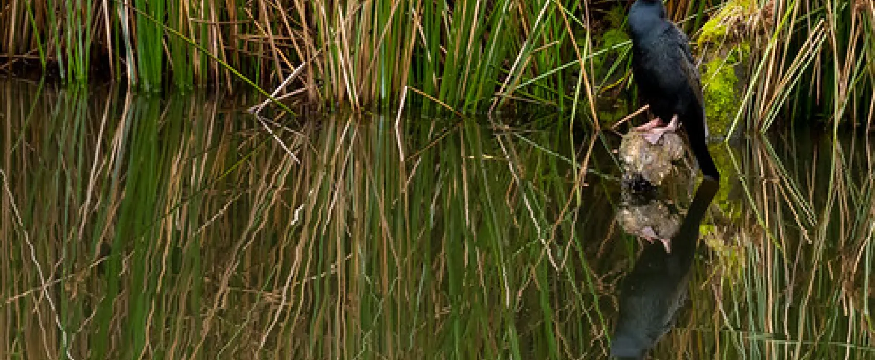 Lake Elizabeth Campground