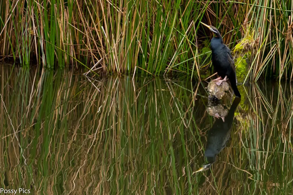 Lake Elizabeth Campground