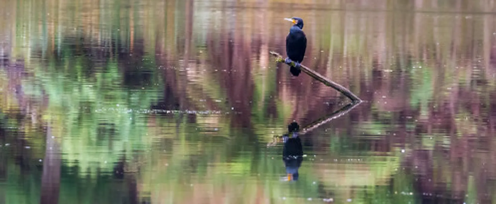 Lake Elizabeth Campground