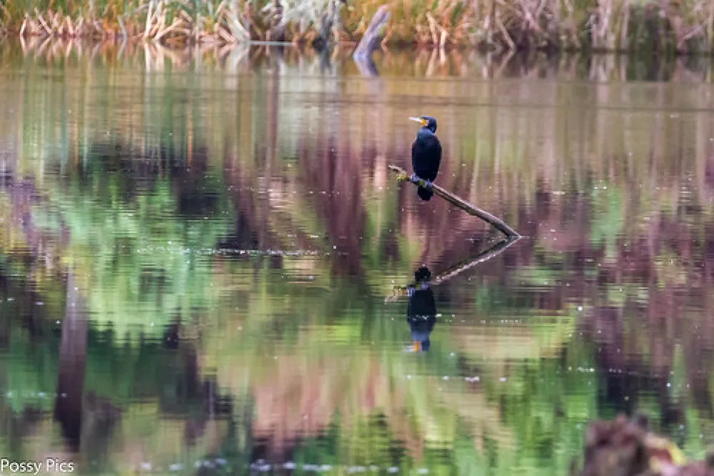 Lake Elizabeth Campground