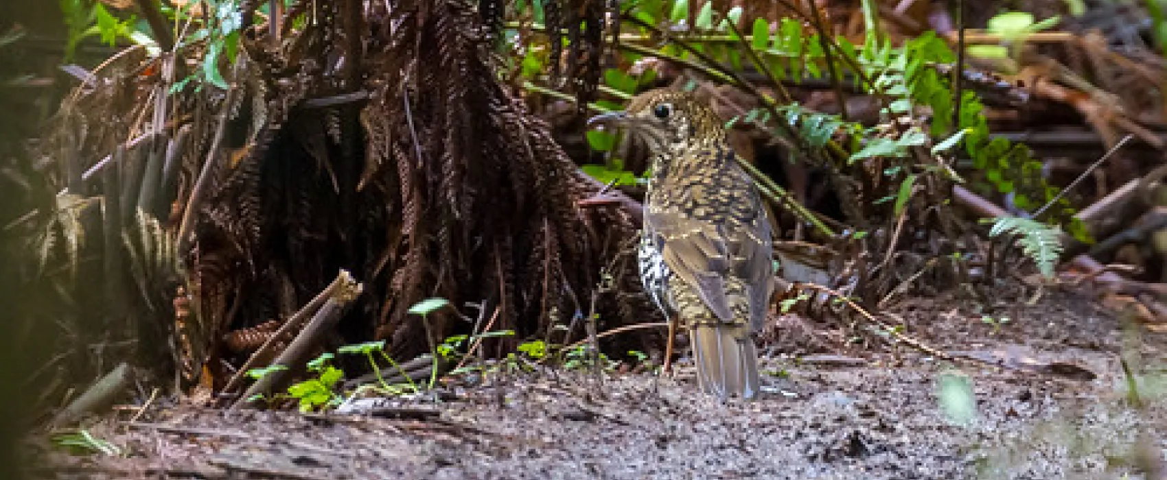 Lake Elizabeth Campground