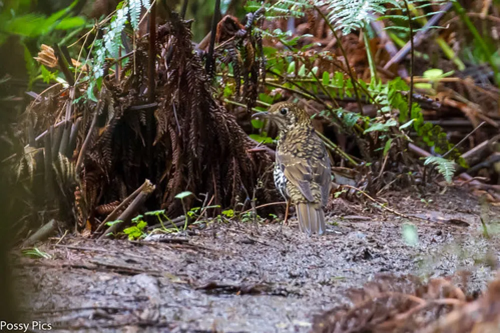 Lake Elizabeth Campground