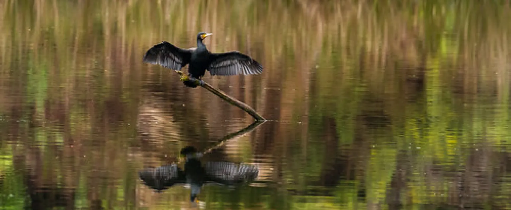 Lake Elizabeth Campground