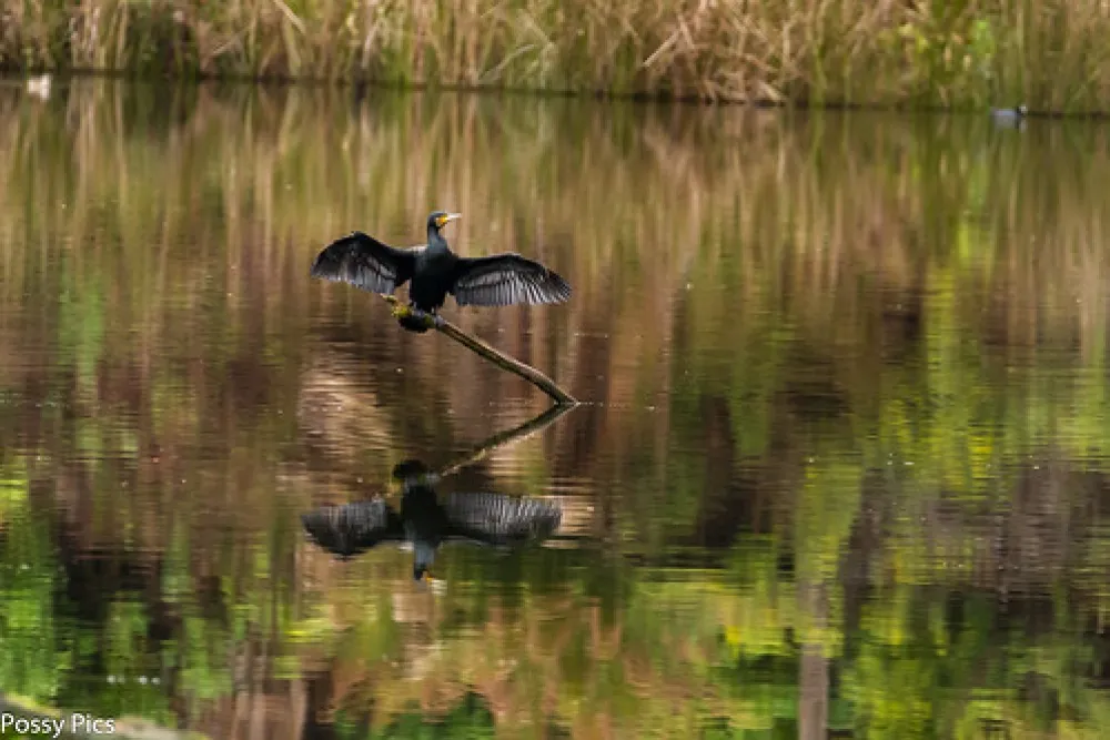 Lake Elizabeth Campground
