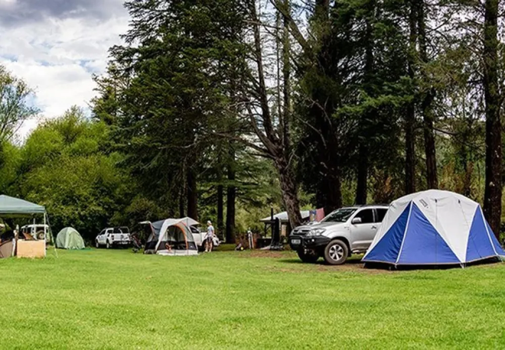 Drakensberg Gardens Camping