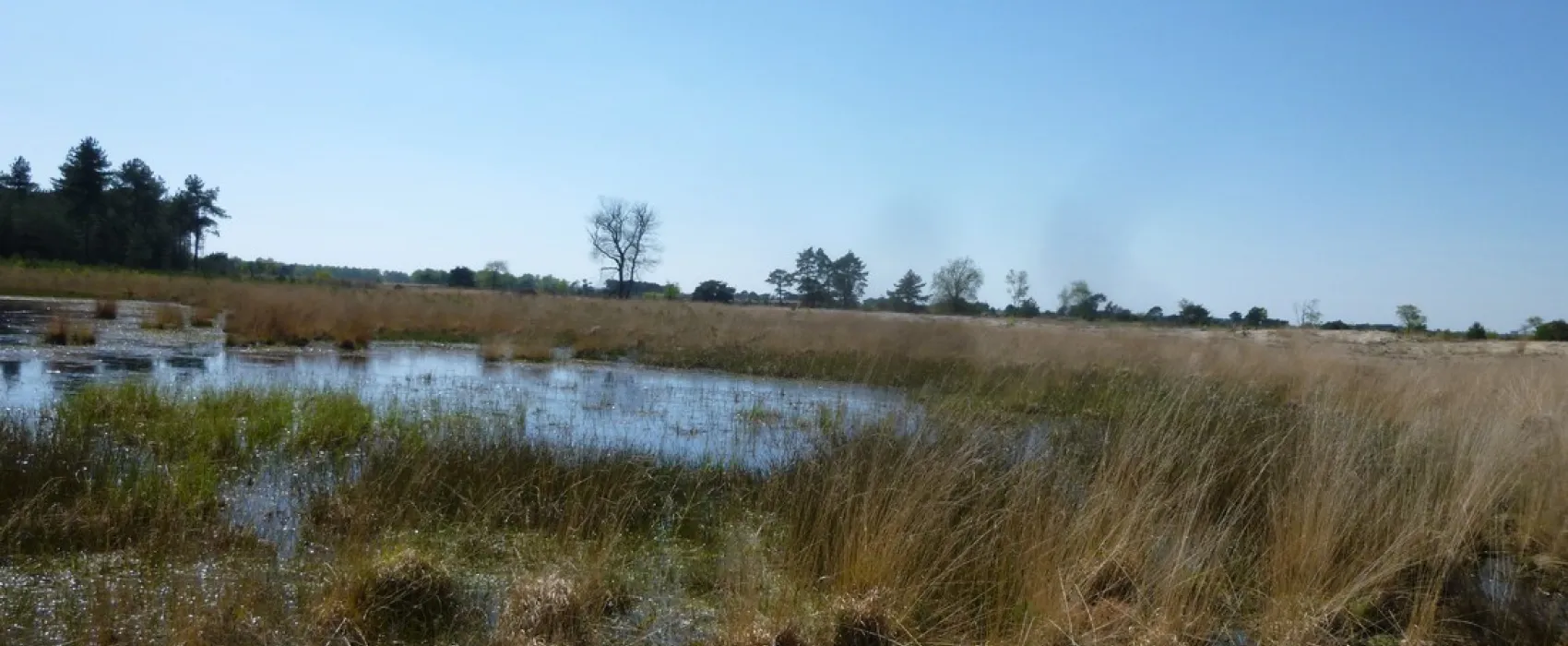 Natuurcamping de Lier