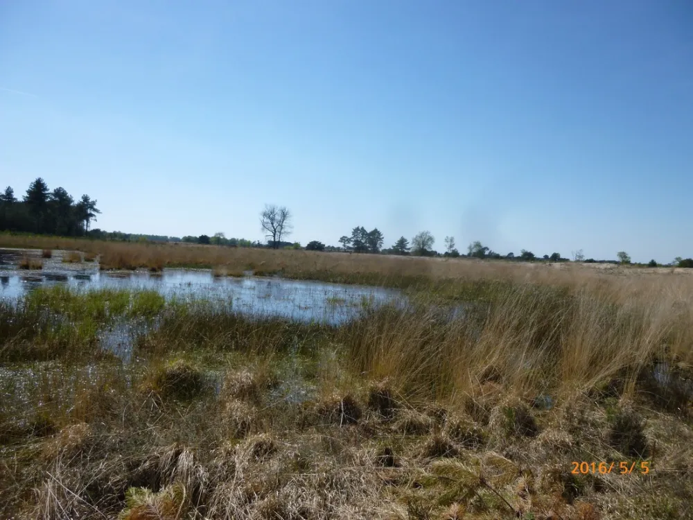 Natuurcamping de Lier