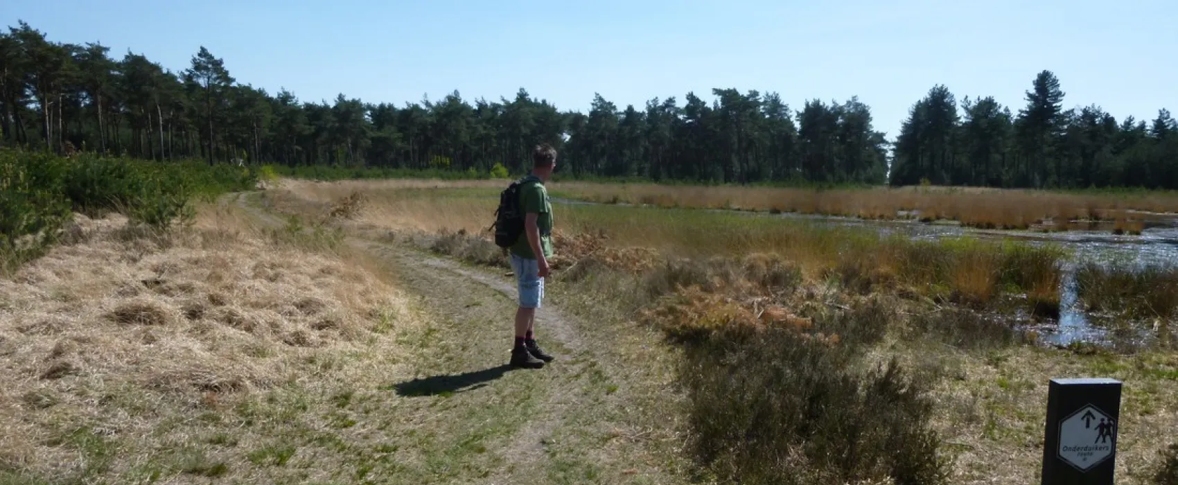 Natuurcamping de Lier