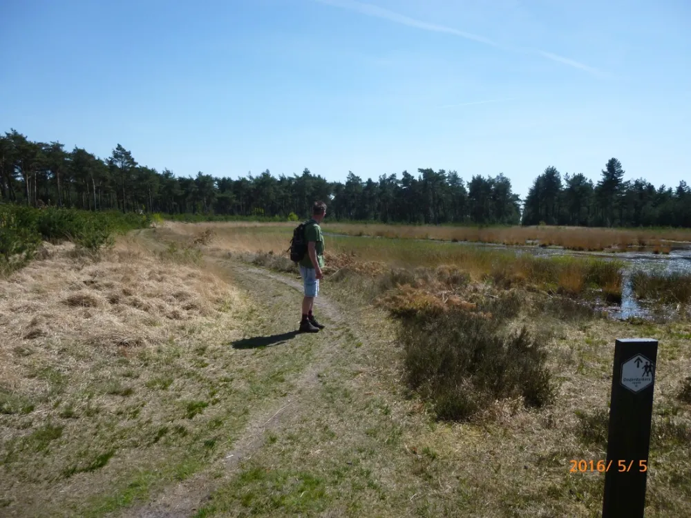 Natuurcamping de Lier