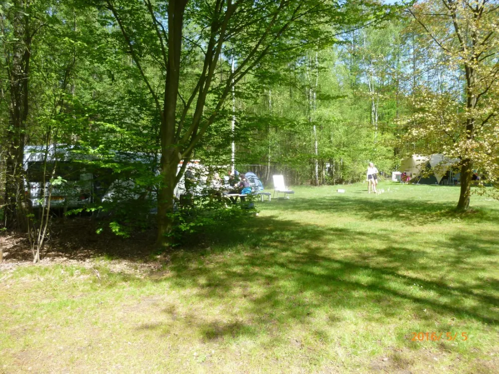 Natuurcamping de Lier