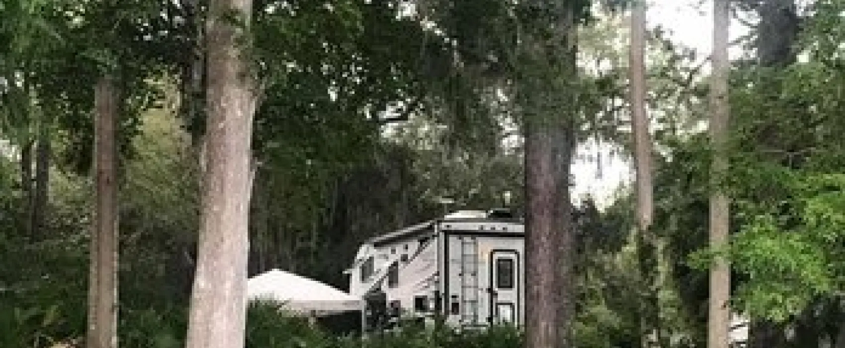 Yellow Jacket RV Resort