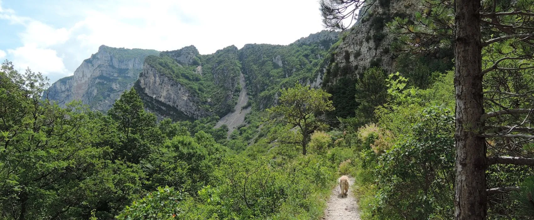 Municipal la Graville