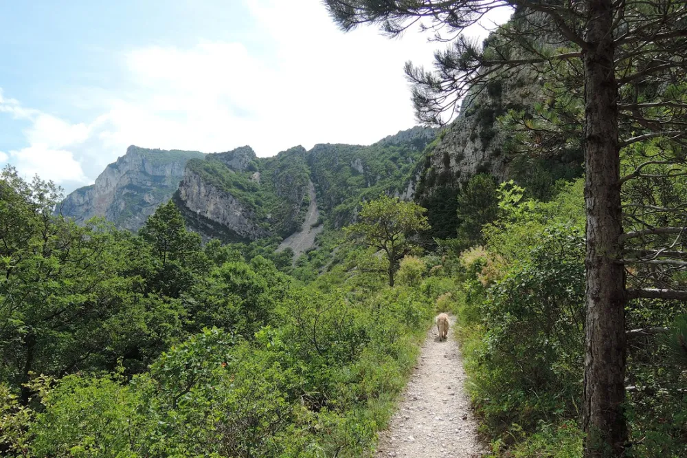 Municipal la Graville