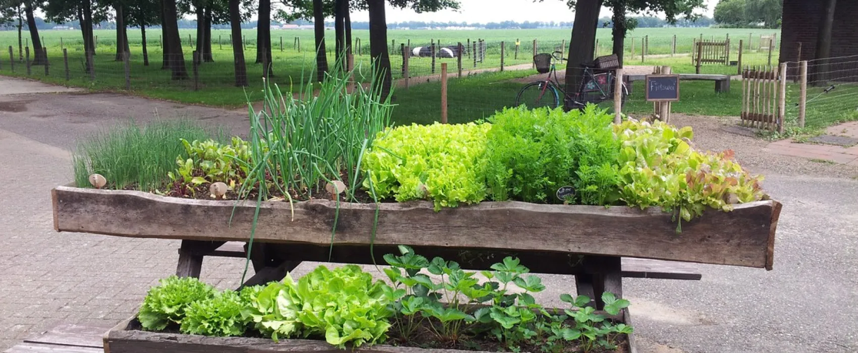 Camping Hoeve de Schaaf