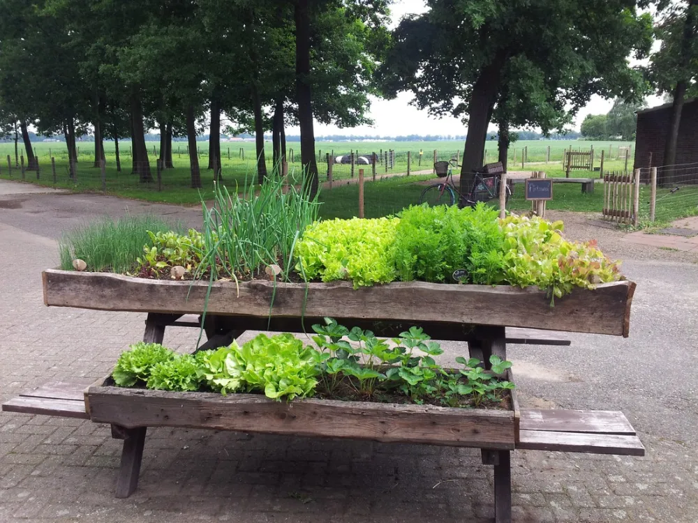 Camping Hoeve de Schaaf