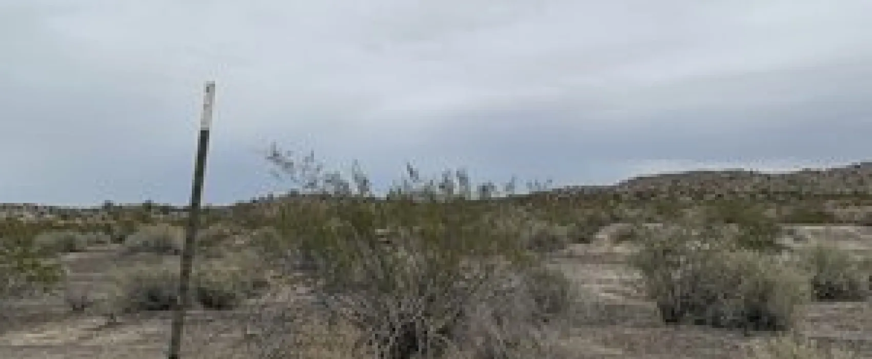 Robbins Butte Dispersed Camping