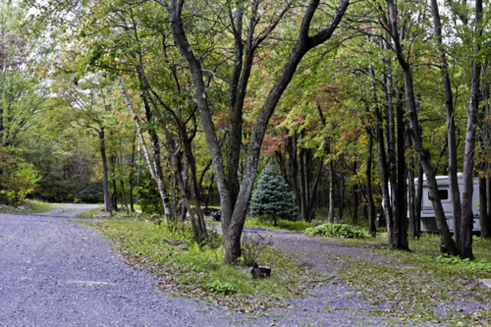 Peaceful Woodlands Family Campground