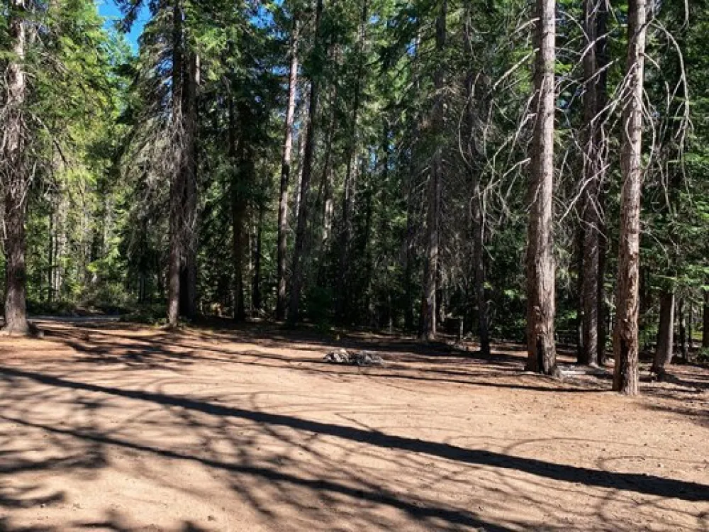 Lower Chiwawa River Road Dispersed Campsites