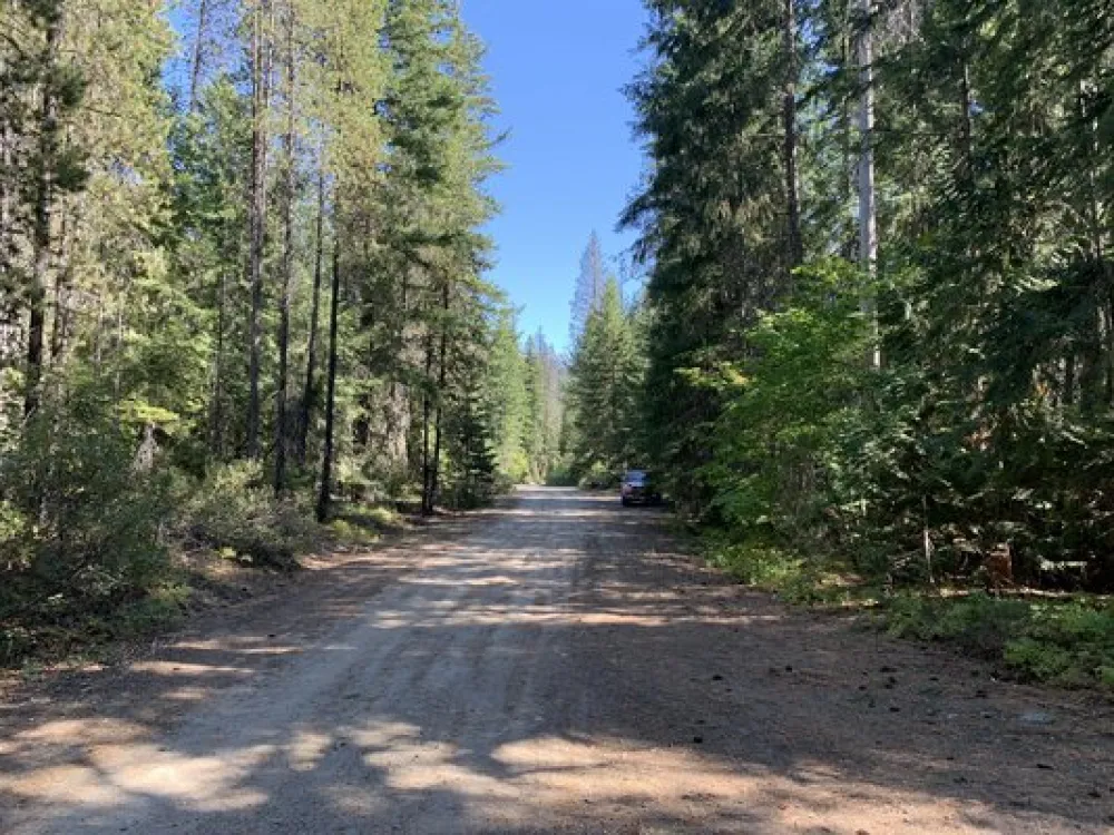 Lower Chiwawa River Road Dispersed Campsites