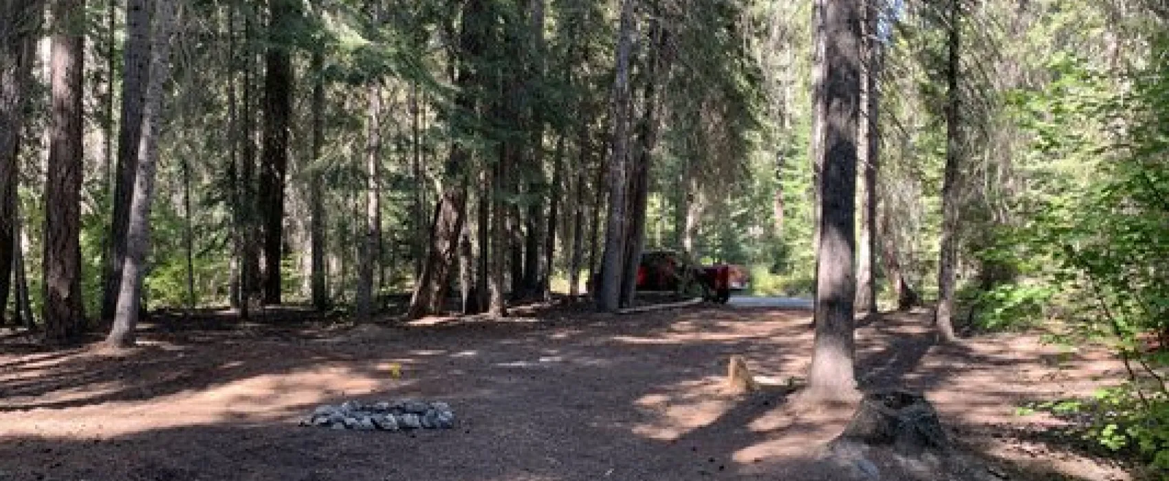 Lower Chiwawa River Road Dispersed Campsites