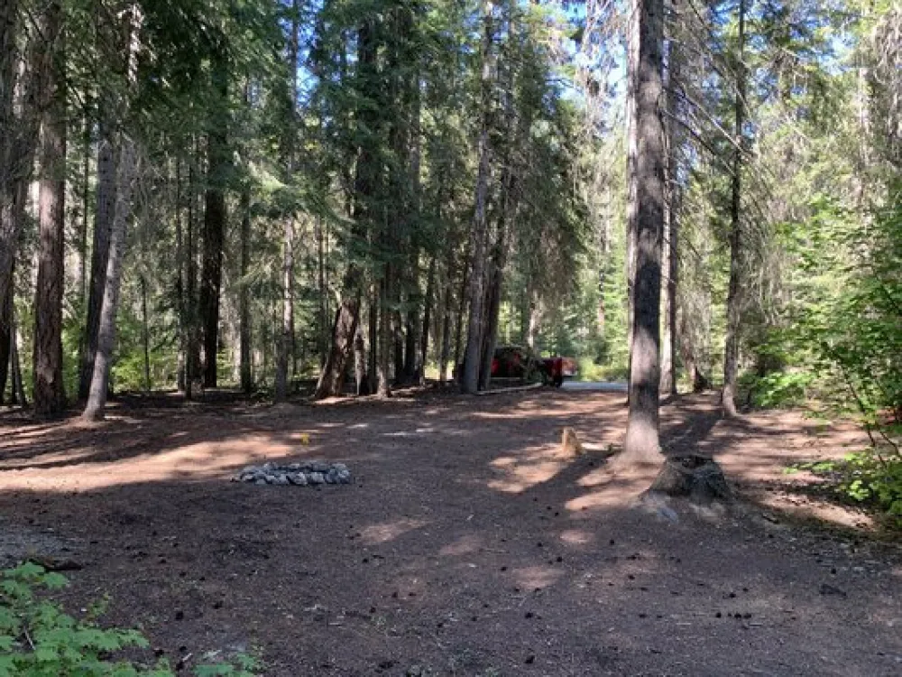 Lower Chiwawa River Road Dispersed Campsites