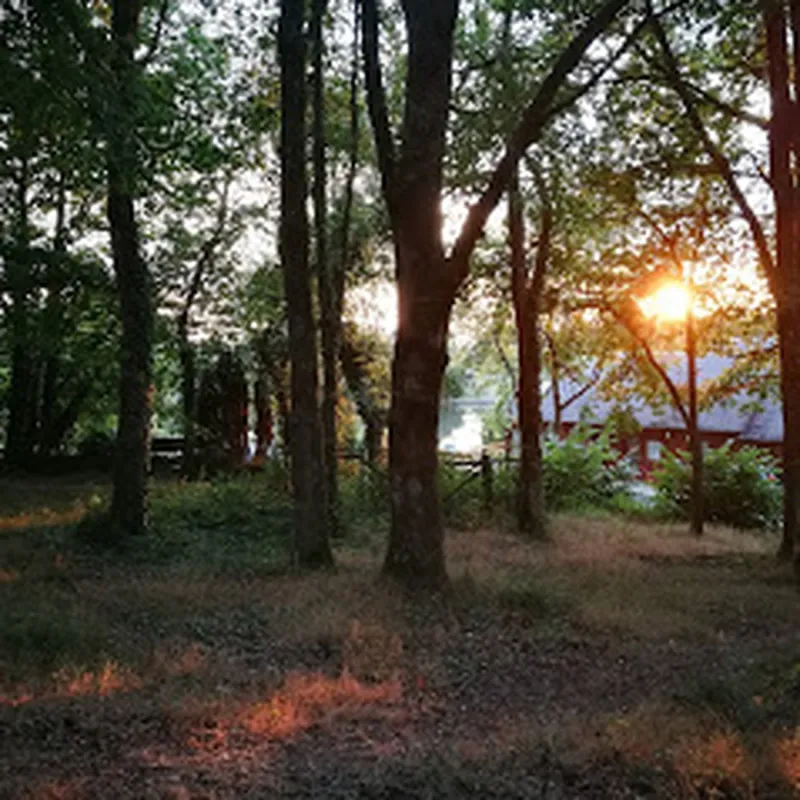 L'Aquarelle du Limousin