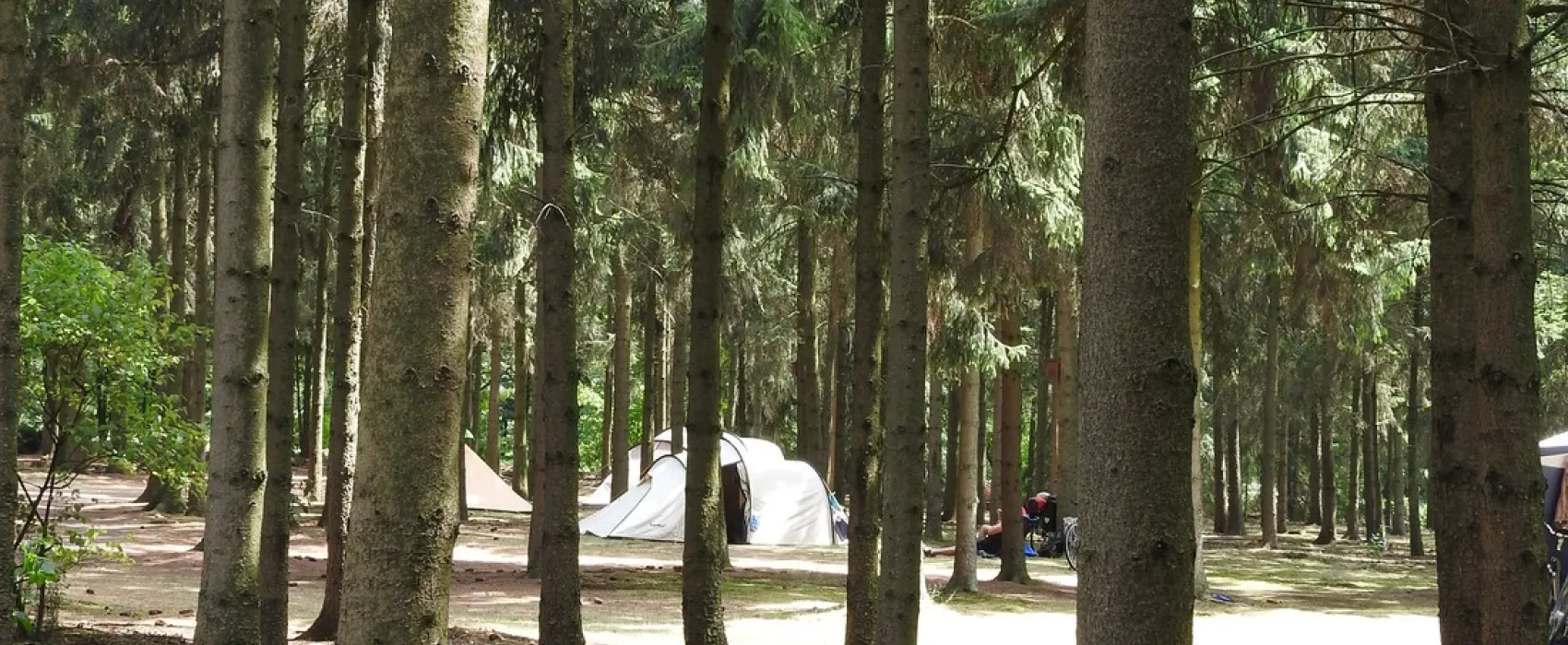 Natuurcamping Den Buizerd